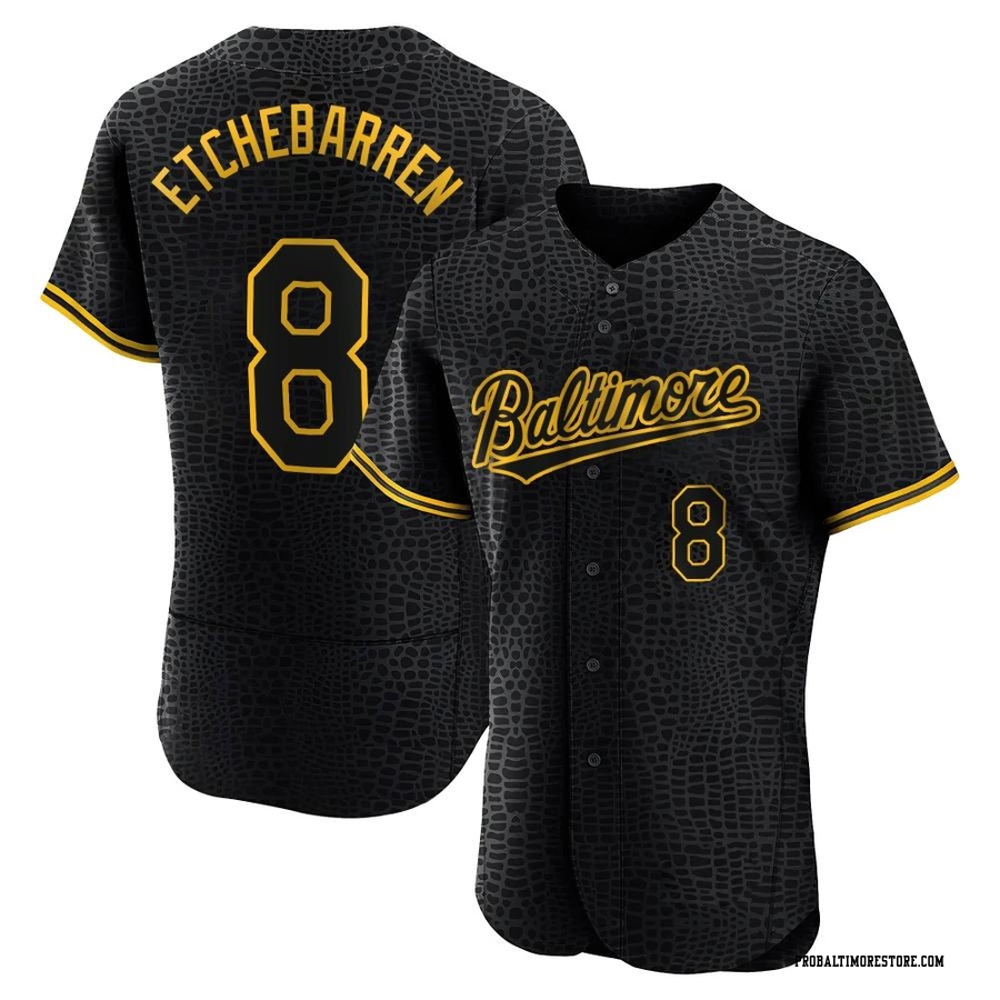 Black Authentic Andy Etchebarren Men's Baltimore Orioles Snake Skin City Jersey