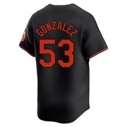 Black Limited Luis Gonzalez Men's Baltimore Orioles Alternate Jersey
